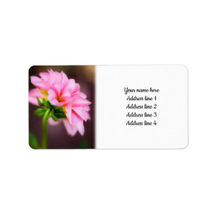 Étiquette Dahlia rose