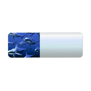 Étiquette Dauphin bleu