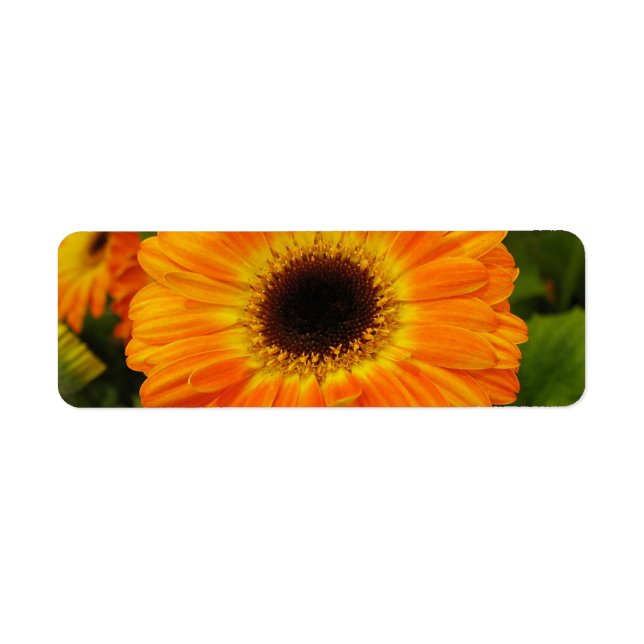 Étiquette de adresse à fleurs orange (Devant)