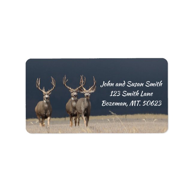 Étiquette de adresse à trois Mule Deer Bucks (Devant)