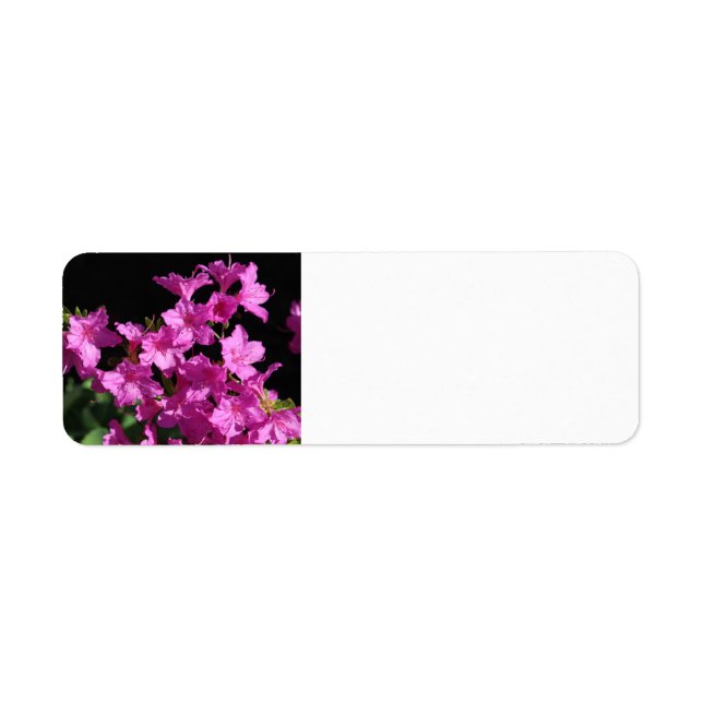 Étiquette de adresse Azalea (Devant)