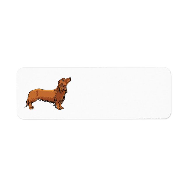 Étiquette de adresse Dachshund (Devant)