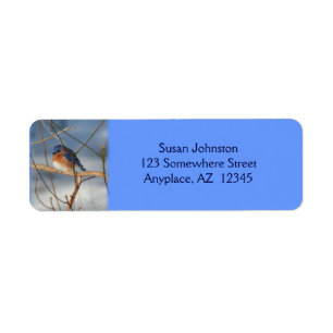 Étiquette de adresse d'animal d'oiseau bleu