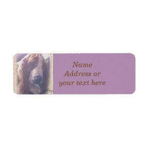 Étiquette de adresse de Basset Hound