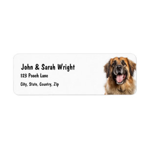 Étiquette de adresse de chien Leonburger personnal