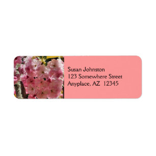 Étiquette de adresse de fleurs roses profondes