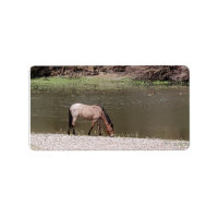 Étiquette de adresse de la collection de chevaux s