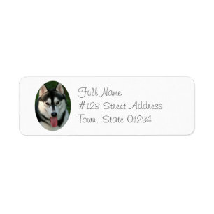 Étiquette de adresse de retour de chien de
