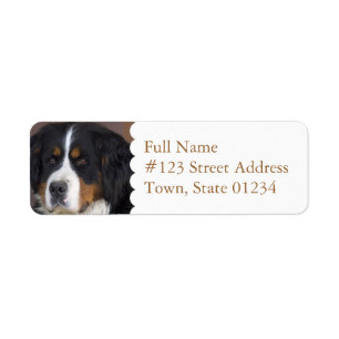 Étiquette de adresse de retour de chien de