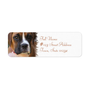 Étiquette de adresse de retour de chien de boxeur