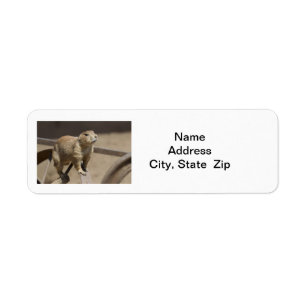 Étiquette de adresse de retour de chien de prairi