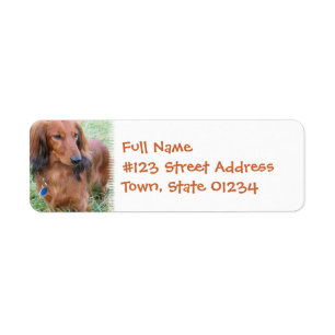 Étiquette de adresse de retour de Daschund de