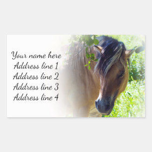 Étiquette de adresse du cheval