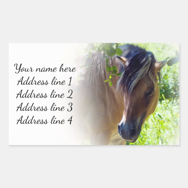 Étiquette de adresse du cheval (Devant)