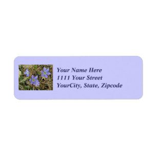 Étiquette de adresse Fleur sauvage bleu doux Hepat