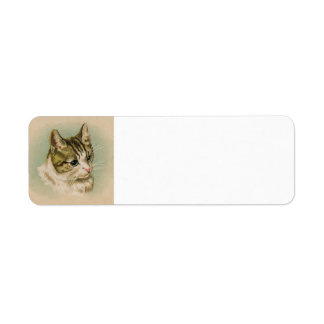 Étiquette de adresse Kitten