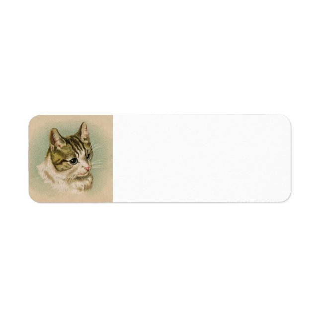 Étiquette de adresse Kitten (Devant)