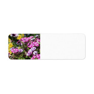 Étiquette de adresse pétunien rose