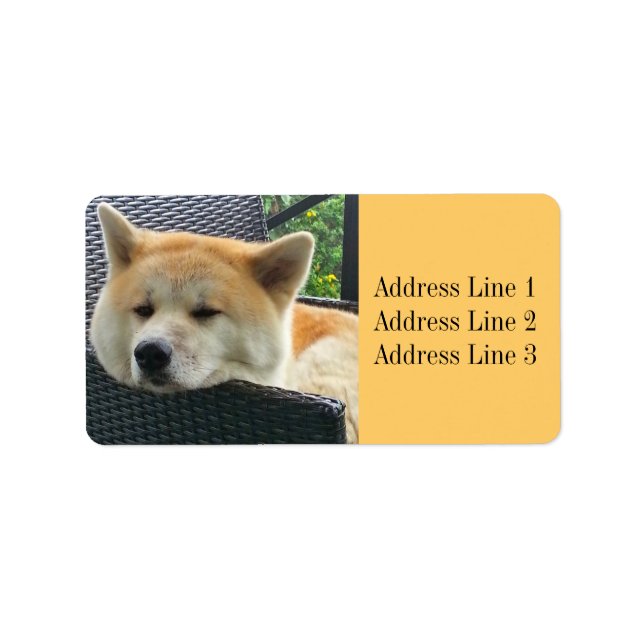 Étiquette de adresse photo Akita (Devant)