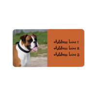 Étiquette de adresse photo Boxer Dog