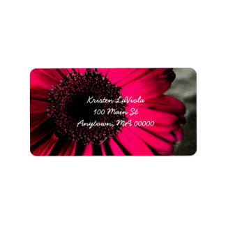 Étiquette de adresse rose Gerber Daisy