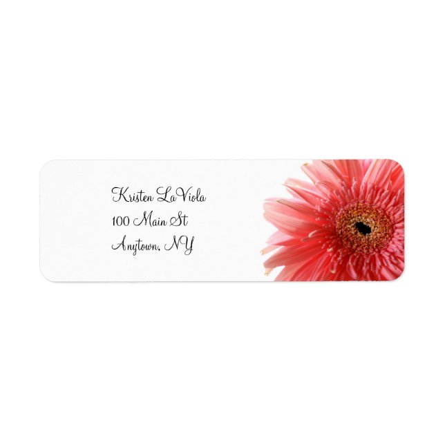 Étiquette de adresse rose Gerber Daisy (Devant)