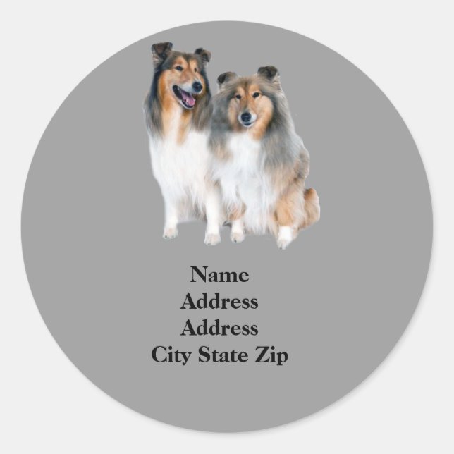 Étiquette de adresse Sheltie (Devant)