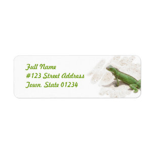 Étiquette de adresse vert de retour de lézard