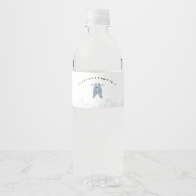 ÉTIQUETTE de bouteille d'eau Doljanchi coréen BLUE (Devant)