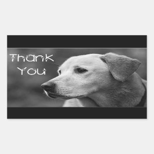 Étiquette de Chien-Chien-Chien-Chien-Chien-Chien-