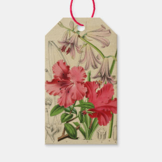 Étiquette de fleurs vintage