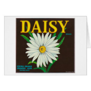Étiquette de la marque Daisy Citrus Crate