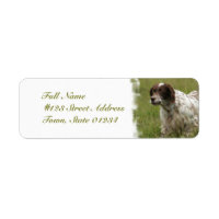 Étiquette de la poste de de la poste de chien-set