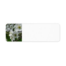 Étiquette de l'adresse de retour Apple Blossom