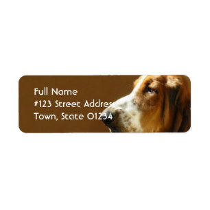 Étiquette de l'adresse de retour Basset Hound