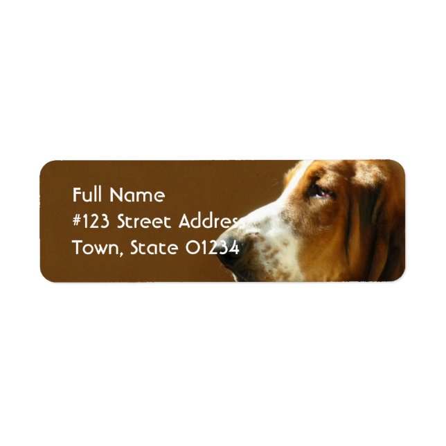 Étiquette de l'adresse de retour Basset Hound (Devant)