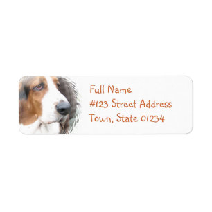 Étiquette de l'adresse de retour Basset Hound