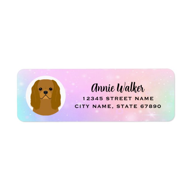 Étiquette de l'adresse de retour Cavalier King Cha (Devant)