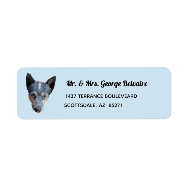 Étiquette de l'adresse de retour de Blue Heeler /  (Devant)