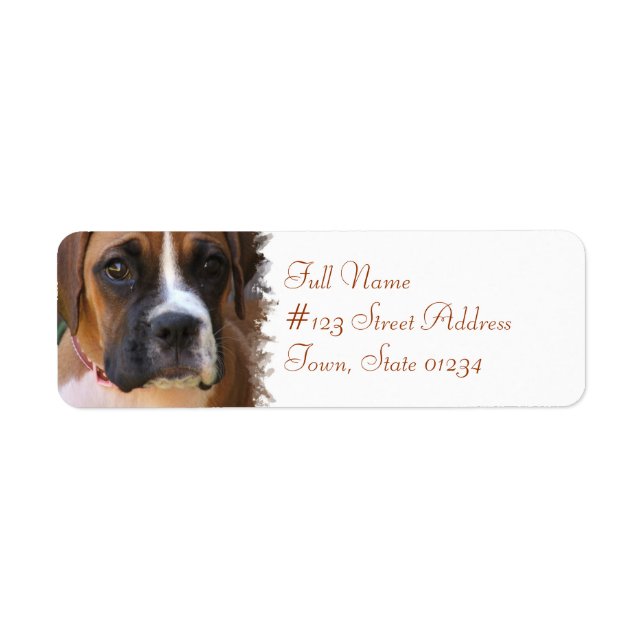 Étiquette de l'adresse de retour de chien de boîte (Devant)