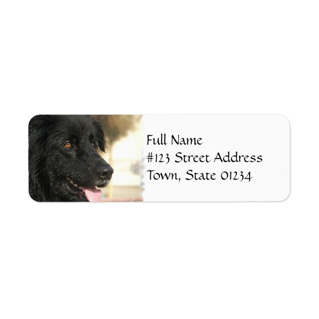 Étiquette de l'adresse de retour de chien de Terre (Devant)