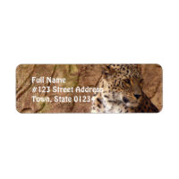Étiquette de l'adresse de retour de Leopard survei