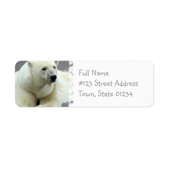 Étiquette de l'adresse de retour de l'ours polaire (Devant)