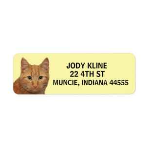Étiquette de l'adresse de retour du CAT GINGER