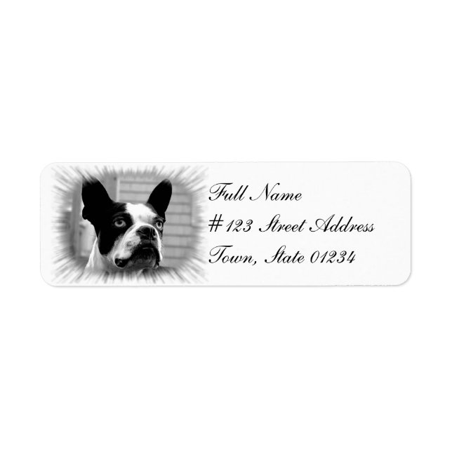Étiquette de l'adresse de retour du chien de Bosto (Devant)