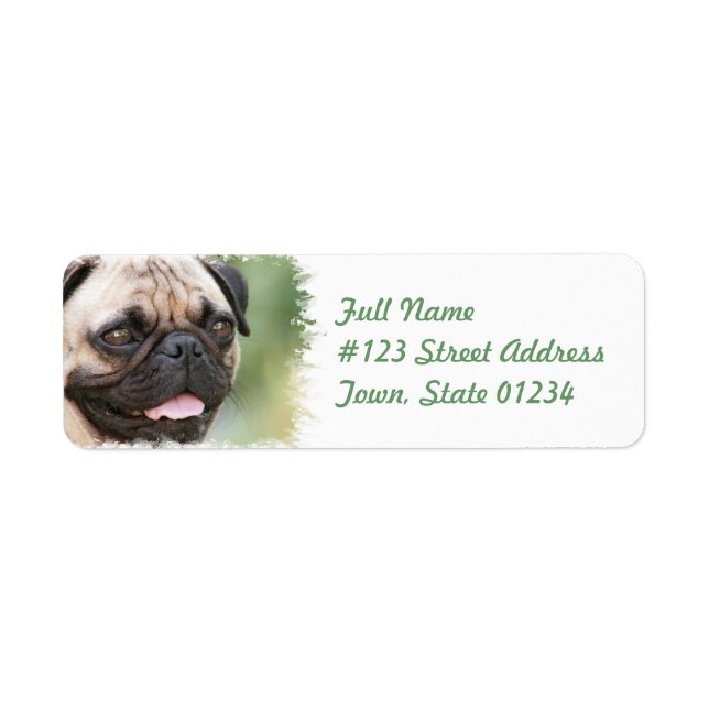 Étiquette de l'adresse de retour du chien de carli (Devant)