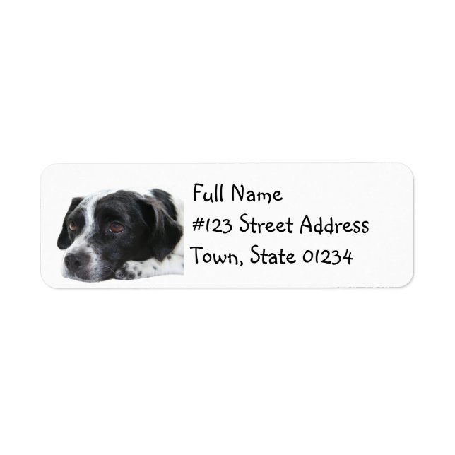 Étiquette de l'adresse de retour du chien pointeur (Devant)