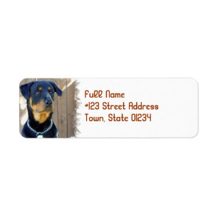 Étiquette de l'adresse de retour du chien Rottweil