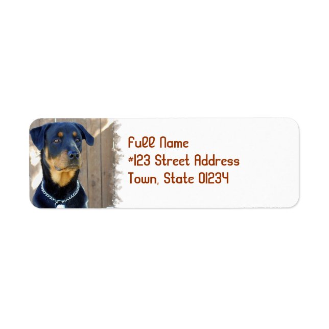 Étiquette de l'adresse de retour du chien Rottweil (Devant)