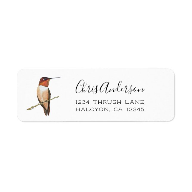 Étiquette de l'adresse de retour du colibri roux (Devant)